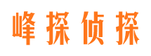 西陵外遇调查取证